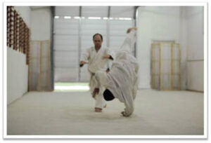 Senpai Bryan Shields doing Aikido technique on a fellow student.