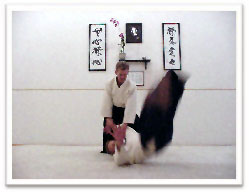 Sensei Tom Brooks doing Aikido technique on a fellow instructor
