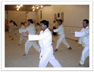 Photo of Mumonkan Do Aikido Students in Basic Stance.