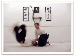 Sensei Doug McBratney doing Aikido technique on Sensei Tom Brooks
