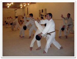 Photo of Mumonkan-Do Aikido Adult students doing a technique.