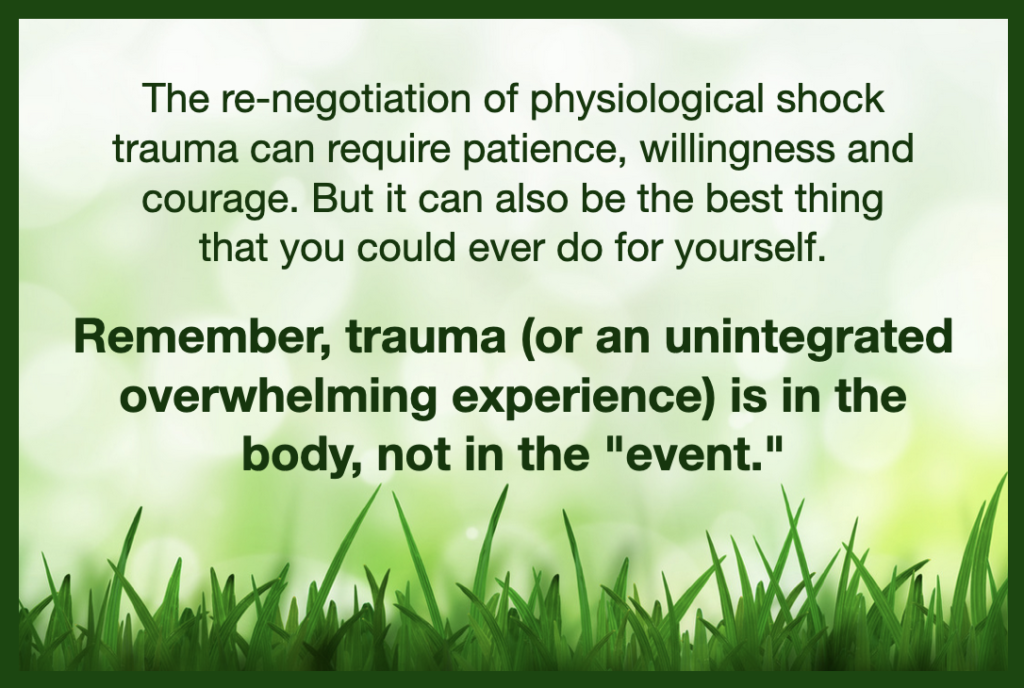 Nature image with text to clarify the significance of trauma renegotiation