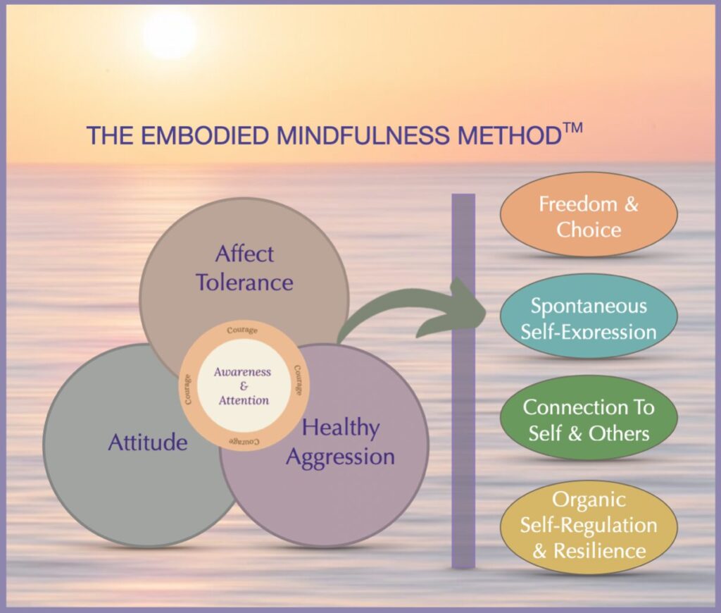 Image depicting the various components of the Embodied Mindfulness Method. Awareness, Attention, Attitude, Healthy Aggression, Affect Tolerance.