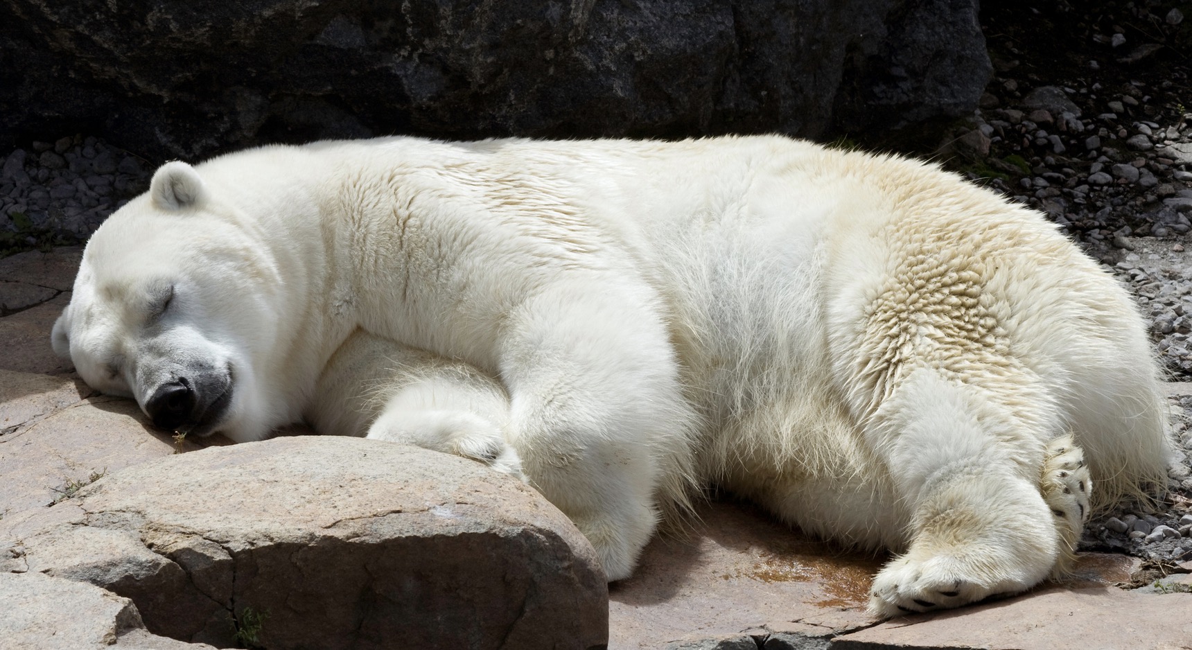 Read more about the article Don’t Poke the Bear!