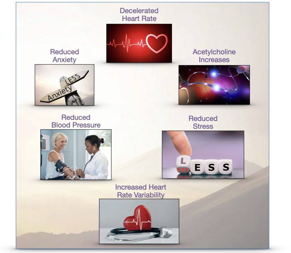 An image showing the benefits of extended breathing: decelerated heart rate, reduced anxiety, acetylcholine increases, reduced blood pressure, reduced stress, increased heart rate variability